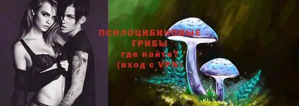 спайс Алзамай
