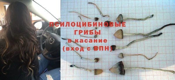 спайс Алзамай