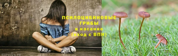 спайс Алзамай