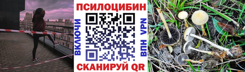 Галлюциногенные грибы ЛСД  цена наркотик  ОМГ ОМГ ONION  Харовск 